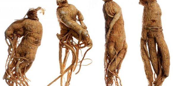 Ginseng Wurzel, um den Penis zu erhöhen